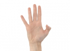 when you bring any of your fingers in contact with your thumb, this movement is called