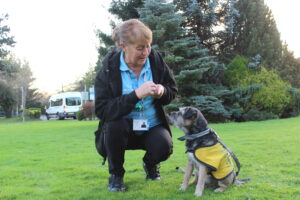 Woman cruched down on grass with a Border terrier dog alongside her