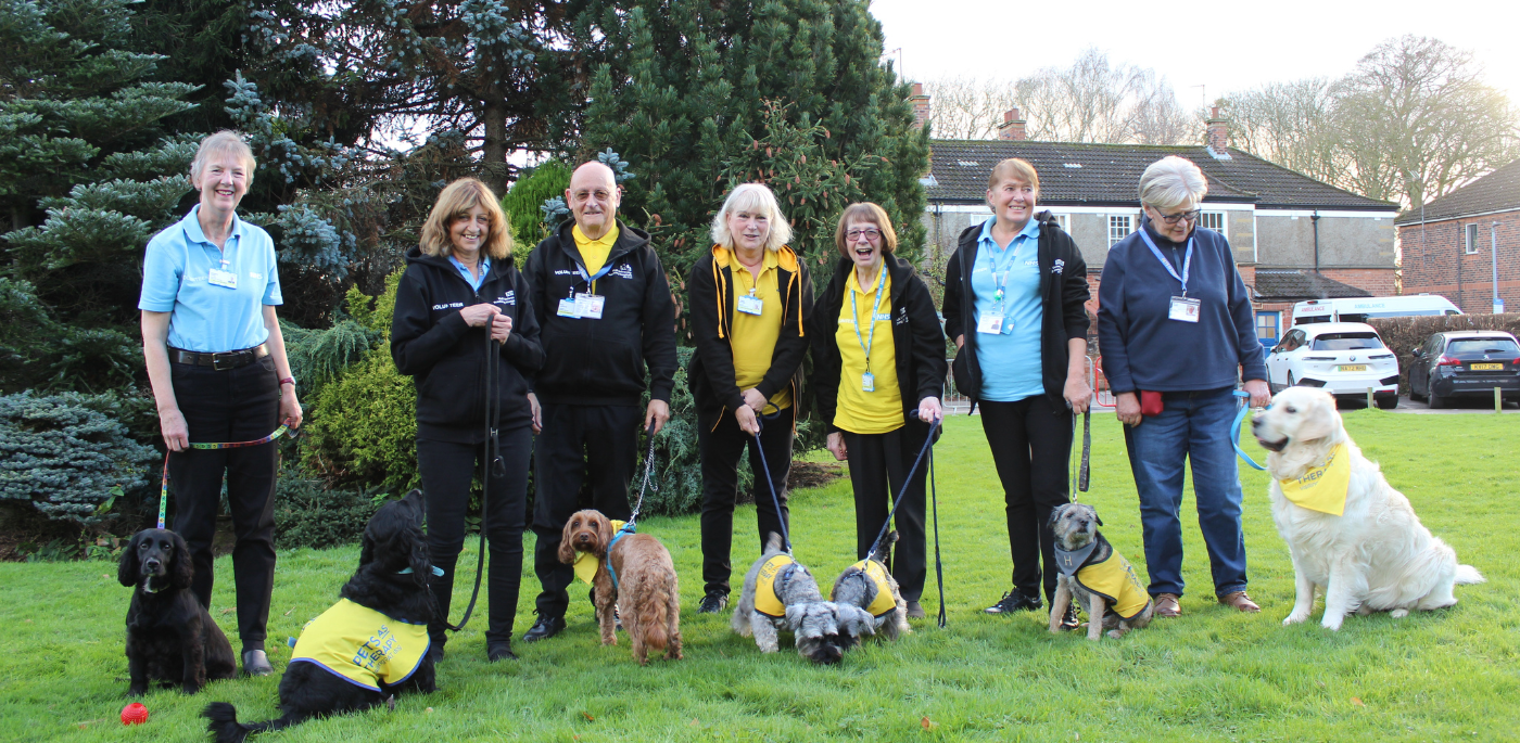 Seven volunteers and their therapy dogs standing on the grass with trees behind them. Dogs are all different breeds.