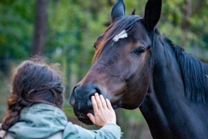 Lady stroking a horse's nose