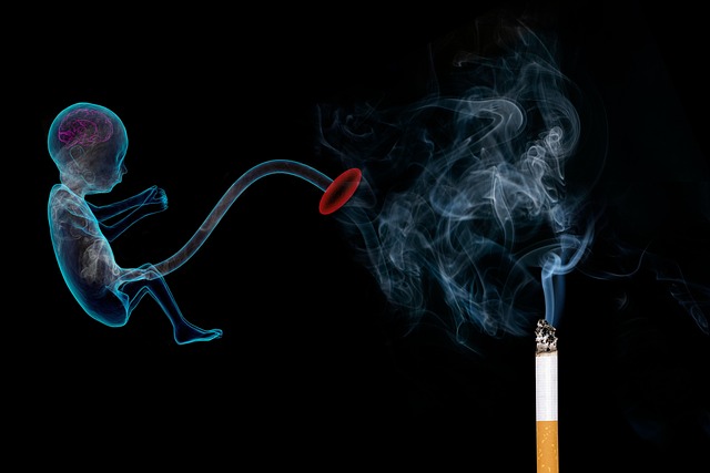 A lit cigarette linked to an unborn baby by the umbilical cord